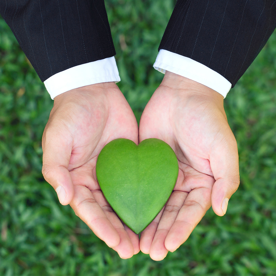 Zwei Hände halten ein grünes Herz